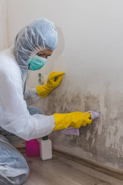 Best Forensic Mold Investigation  in Enigma, GA