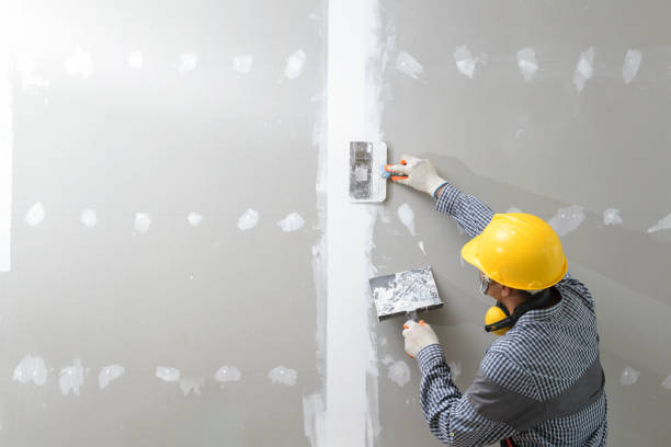 Best Post-Construction Mold Inspection  in Enigma, GA