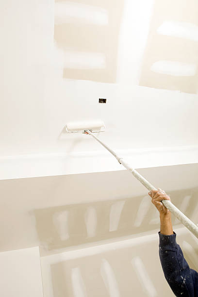 Best Mold Documentation for Insurance Claims  in Enigma, GA